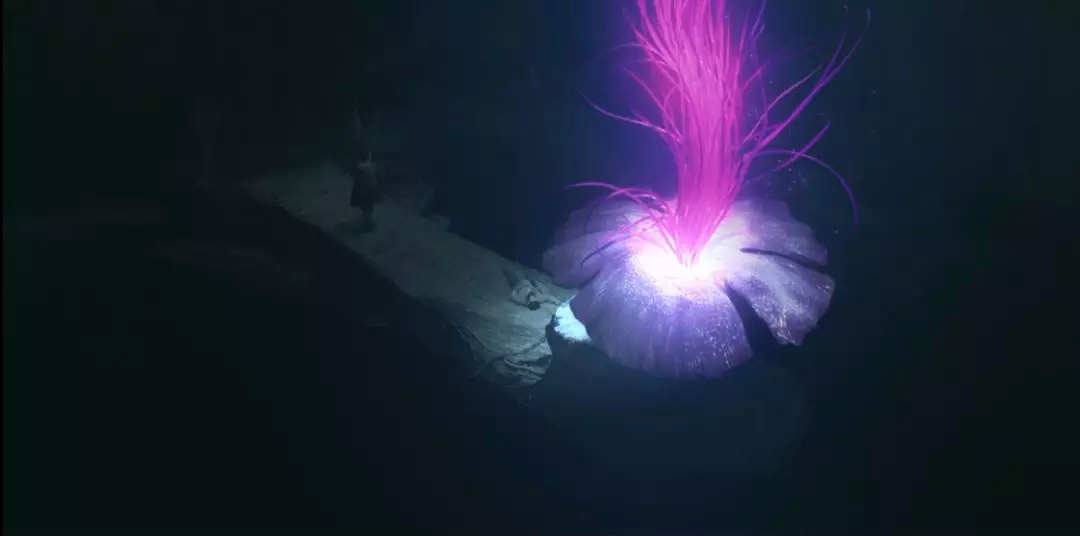 盗墓最怕的四种东西,盗墓最怕什么机关