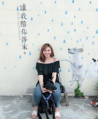 爱是最好的整容方式!狗狗身上长蛆发臭,惹人厌,半年后判若两狗