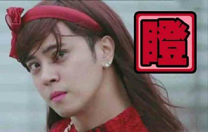 铲屎官给狗狗起的十大奇葩名字,叫铁头的那个你过分了啊