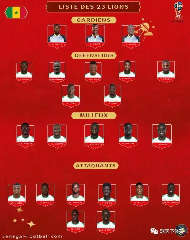 俄罗斯世界杯32强分布图,俄罗斯世界杯巴西名单