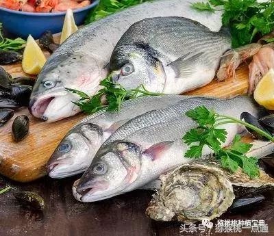 野生猕猴桃根熬制喝能治乳腺癌吗,预防乳腺癌需要打什么疫苗