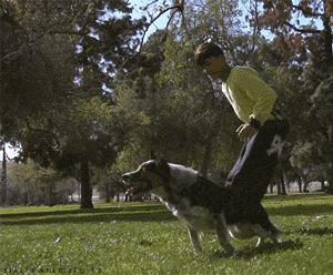 安慰自己不生气的诗,关于不要生气的诗