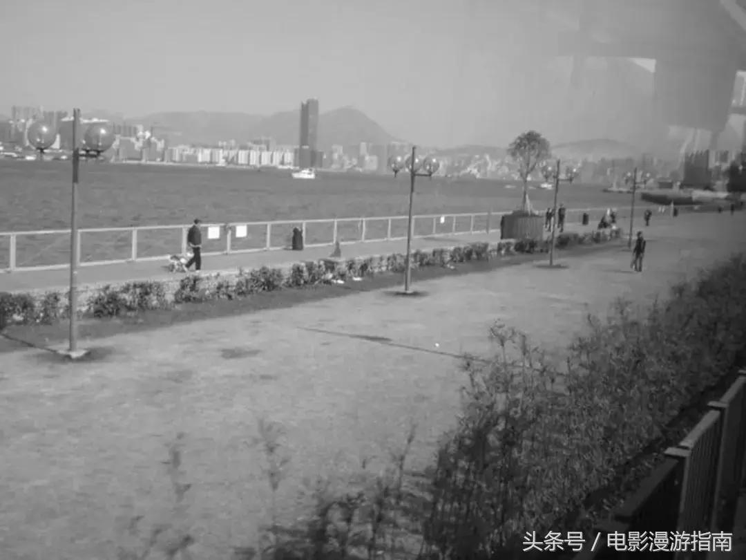 有姑娘出20w让我去香港找条狗，绑匪说：要30w——我Tony还亏了6W