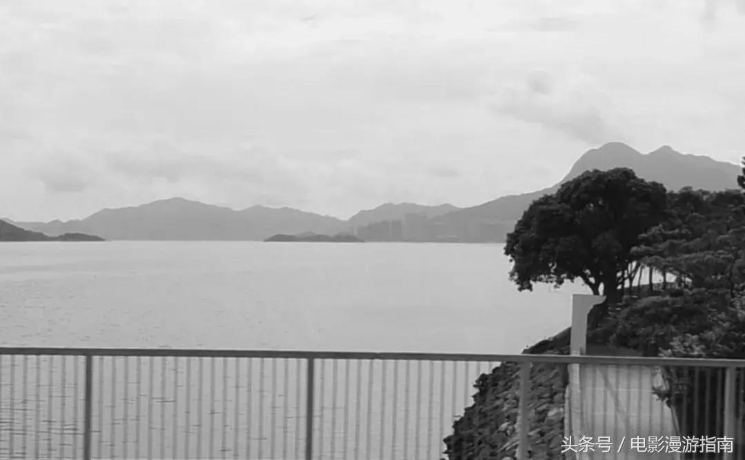 有姑娘出20w让我去香港找条狗，绑匪说：要30w——我Tony还亏了6W