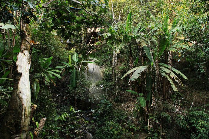最美樱花温泉,樱花谷泡温泉价目表