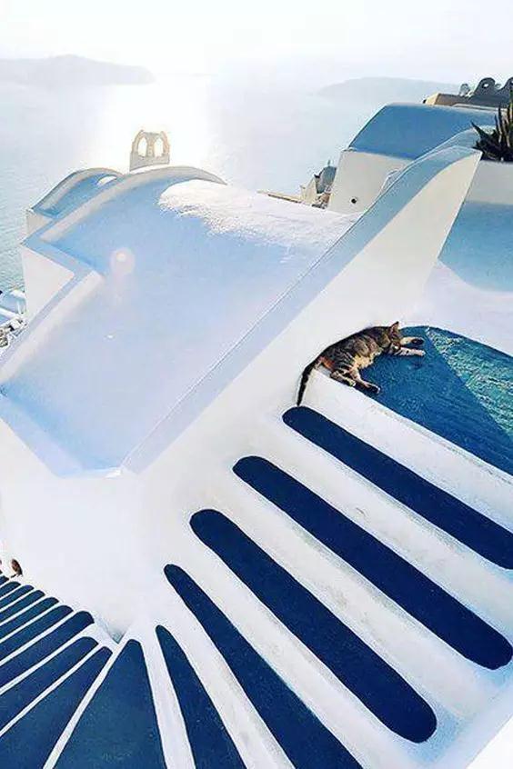 瑞博自己的院子,瑞博院子图片