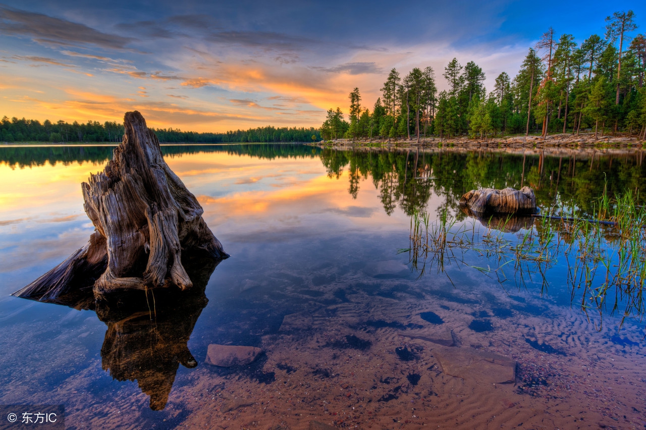 地图出版社七年级下地理复习提纲,地理七年级下册复习提纲人教版