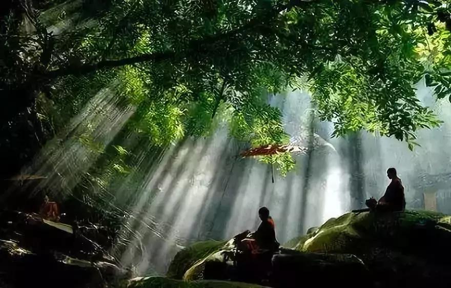 具有代表性的中国传统文化论文,中国传统文化分享100篇