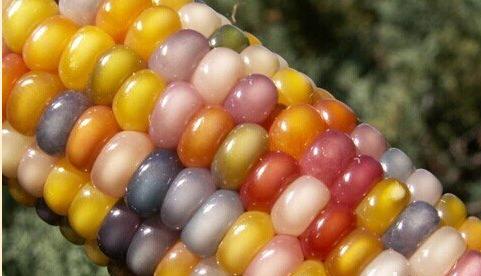 周公解梦大全查询梦到财色双收,梦到有人在意你什么兆头周公解梦