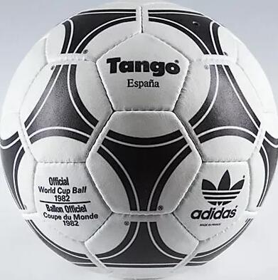 历届足球世界杯一览表,历届世界杯的足球