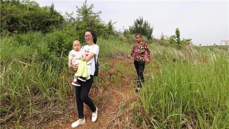 玉屏，为什么能赢？