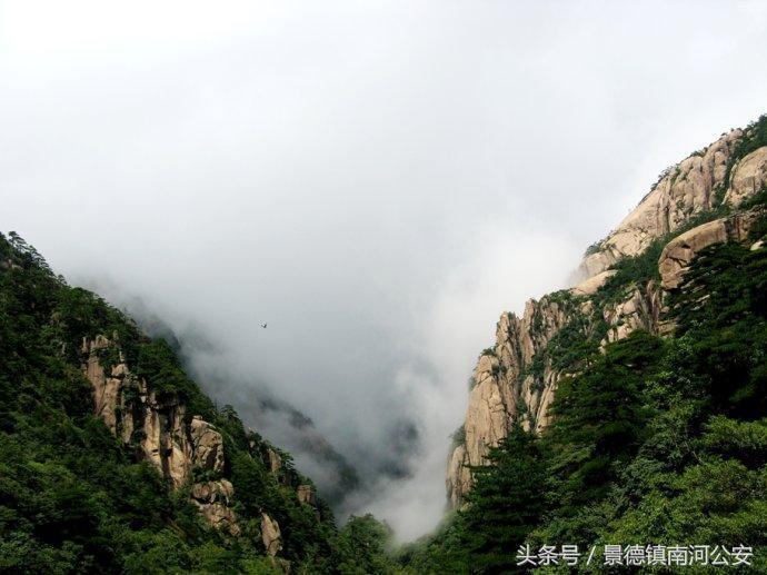 游记｜雾中黄山做梦都想去的人间仙境
