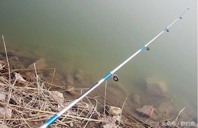 七星串钩钓白条教学视频,串钩钓鲤鱼最佳方法图解