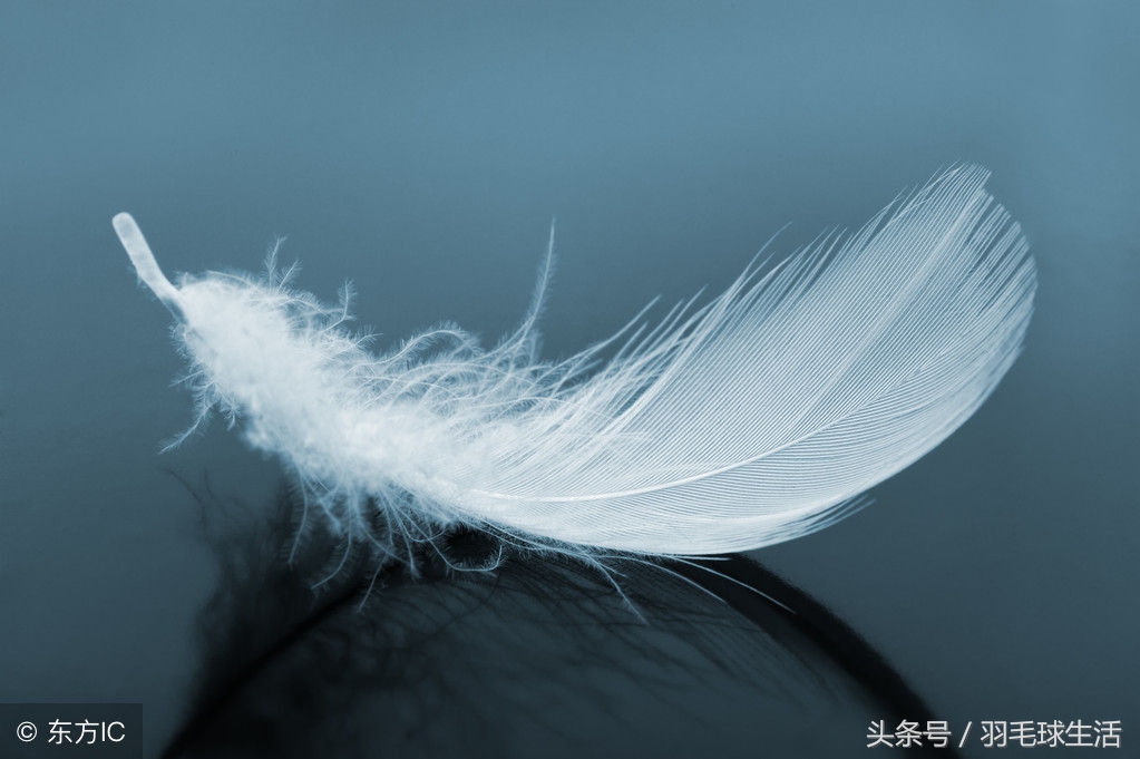 如何辨别羽毛球是否是好羽毛球,怎么判断羽毛球有没有一定基础