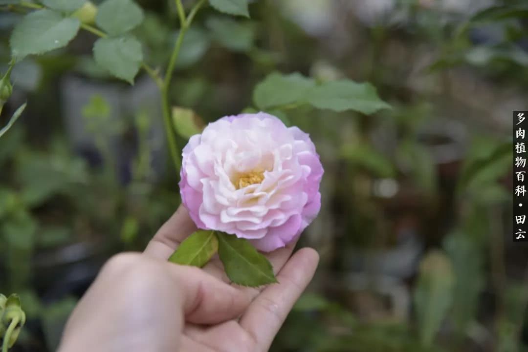 推开世界的门和自己和解,推开世界的门你所看到的风景