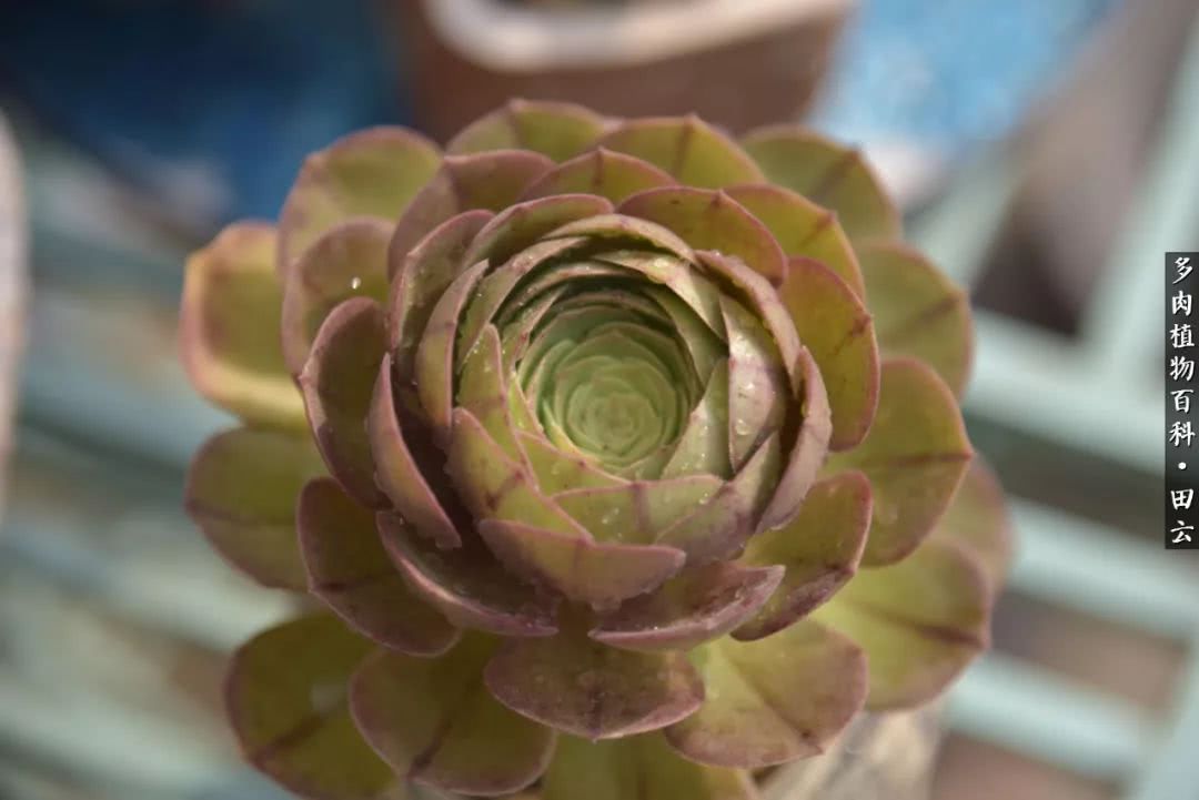 推开世界的门和自己和解,推开世界的门你所看到的风景