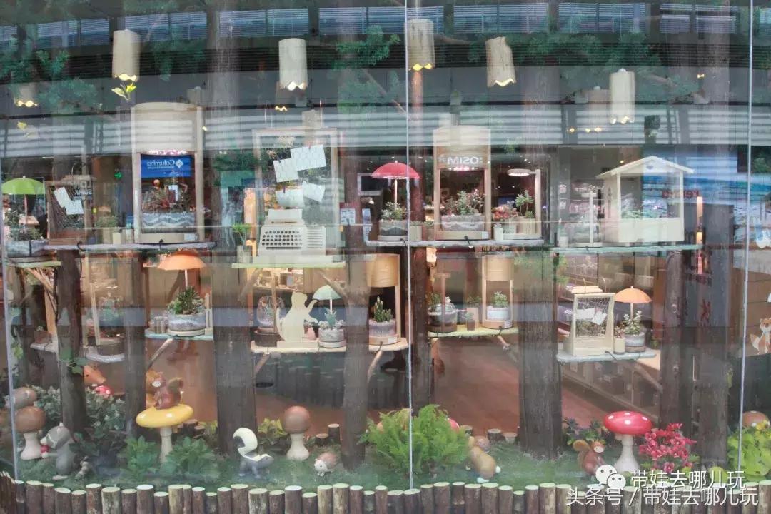 在这个木头打造的梦幻森林里，我找回了丢失已久的少女心