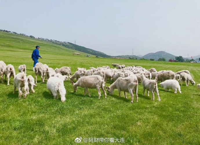 大连游记之三寰牧场,大连三寰牧场游玩日记