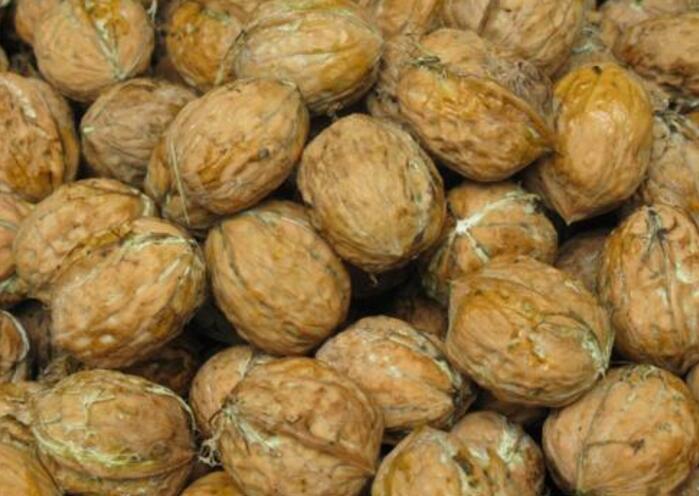 四川正宗核桃,四川特产核桃大全