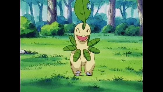 小智的神奇宝贝胜率,小智的所有神奇宝贝胜率