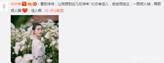 刘诗诗杜维埃,刘诗诗的迷人之美