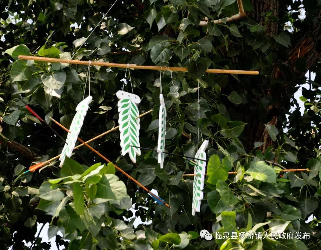 安徽省阜阳市临泉县足球比赛,临泉足球赛事