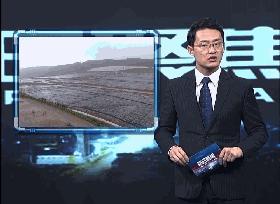 监督进行时曝光问题整改情况报告,本周辟谣事件