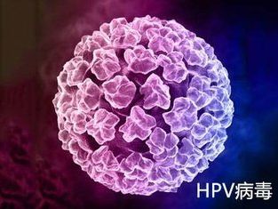 「宫颈癌」女性，请远离美丽的它！