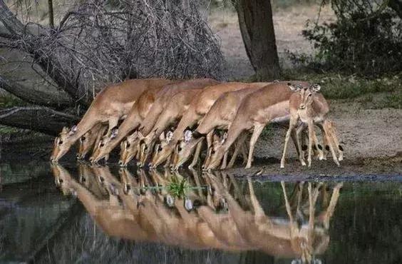 超有气氛的集体照图片,刚拍的你从未见过的集体照