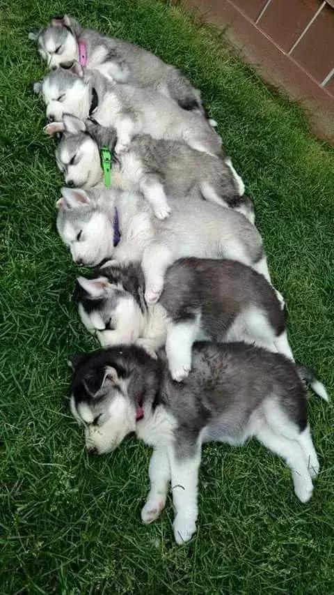 超有气氛的集体照图片,刚拍的你从未见过的集体照