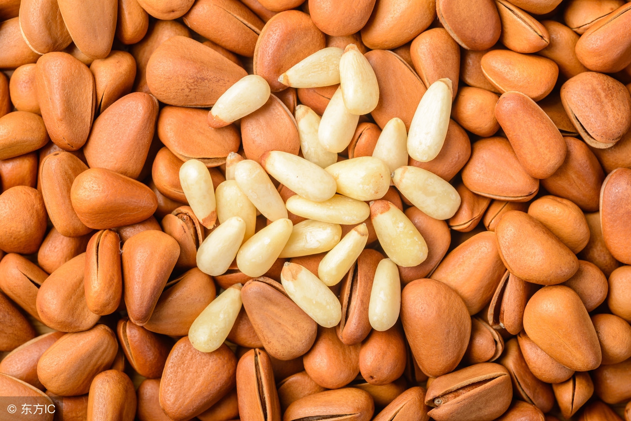 这种果子五十多年才结一次成熟还需要2年农民采摘十分不易！