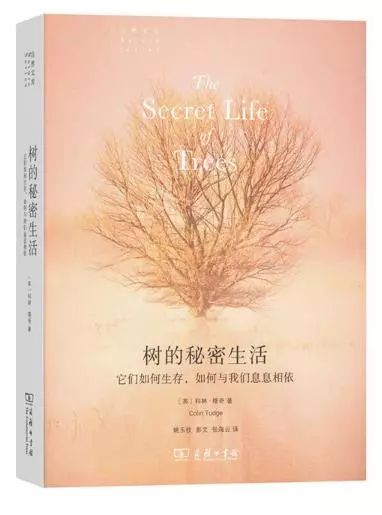 年货精选分享,年货精选30本哲学好书