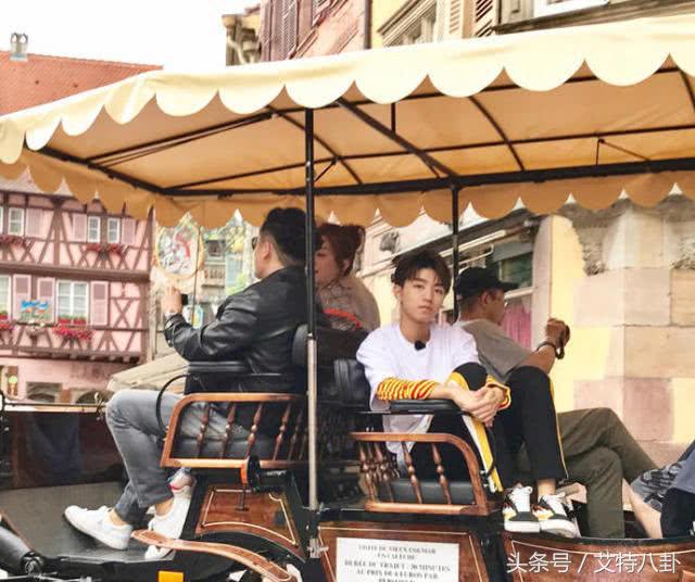 赵薇雕像,赵薇法国骑士勋章