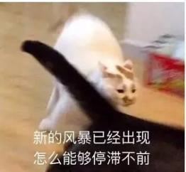 头条榜中榜丨互喷群这么火，但我最想加入的只有这一个