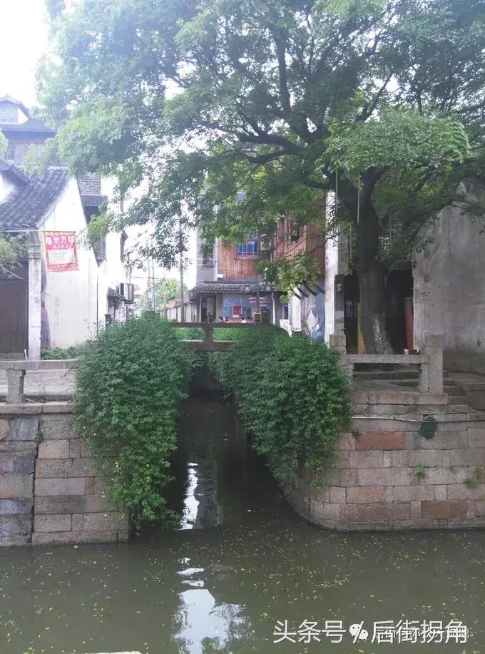 江南古镇简介,枫泾古镇一日游攻略