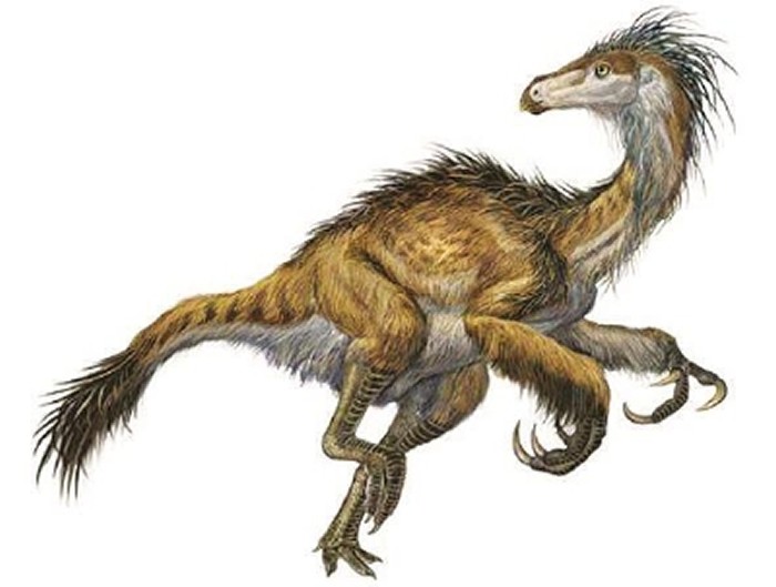 侏罗纪公园有多少只迅猛龙,侏罗纪系列迅猛龙进化史