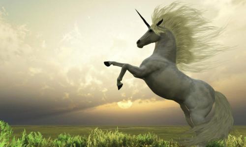 独角兽基金三年回报率,独角兽基金策略比较