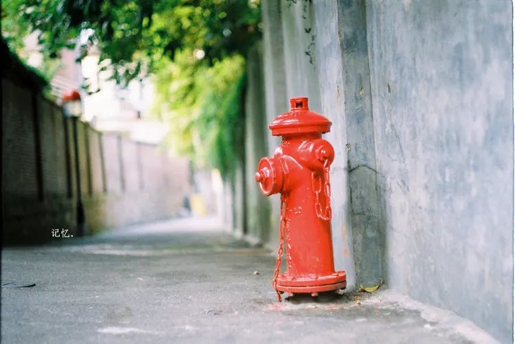 四月适合旅游的地方,四月旅游最好的去处