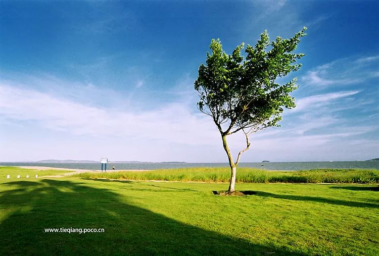 这个夏天我们再邂逅一次厦门吧,这个夏天想跟你再去一次厦门