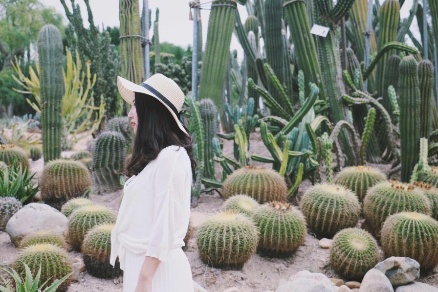 四月适合旅游的地方,四月旅游最好的去处