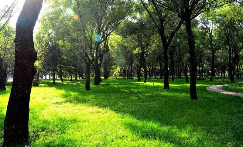 郑州周边夏天好玩的景点,郑州夏天旅游攻略景点必去
