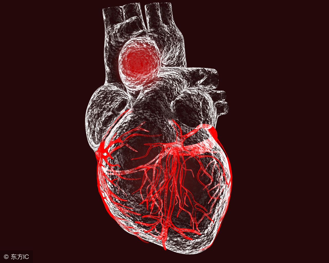 男健科普丨生了病别挂错科，医生教你轻松区分四十个科室