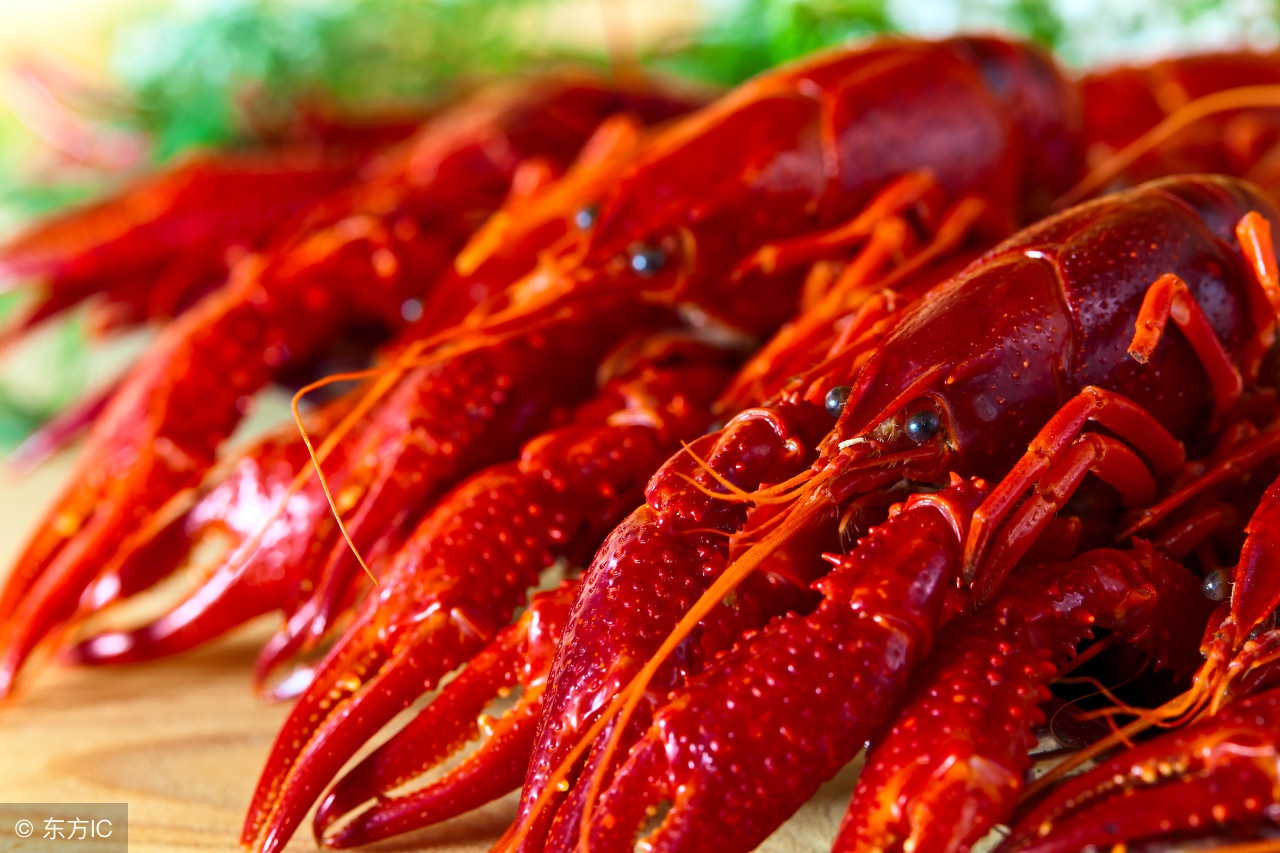 白岩松对中国国足的评价,白岩松访中国足球