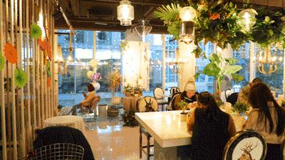 为了这瓶“祖马龙咖啡”，抖音小姐姐们都来打卡了