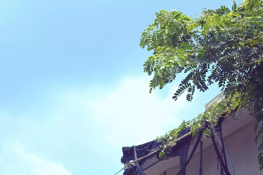 这个夏天总要来一趟浪漫的厦门,这个夏天再和你去一次厦门