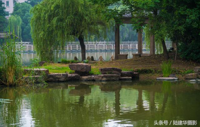 粽情端午南通,粽情端午邻里相约