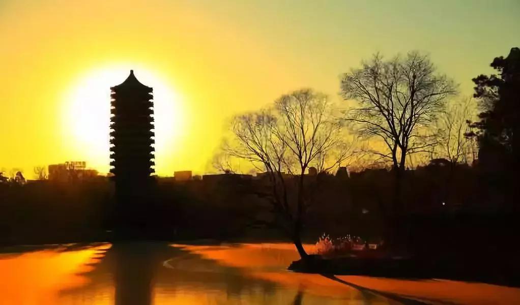 又进步了,清华和北大在世界排名第几位