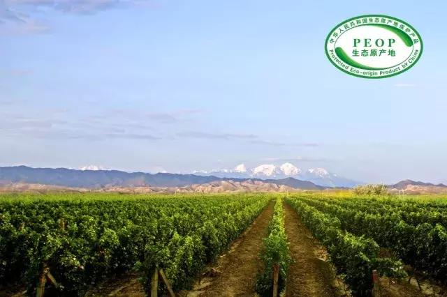 尼雅葡萄酒优选级,尼雅葡萄酒系列哪个比较好喝