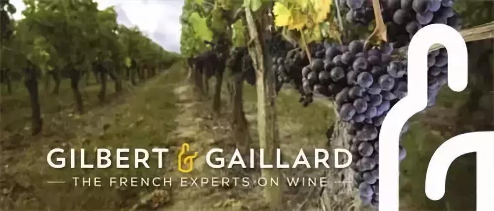 尼雅2017赤霞珠干红葡萄酒价格750ml,尼雅葡萄酒是中国最好的葡萄酒吗