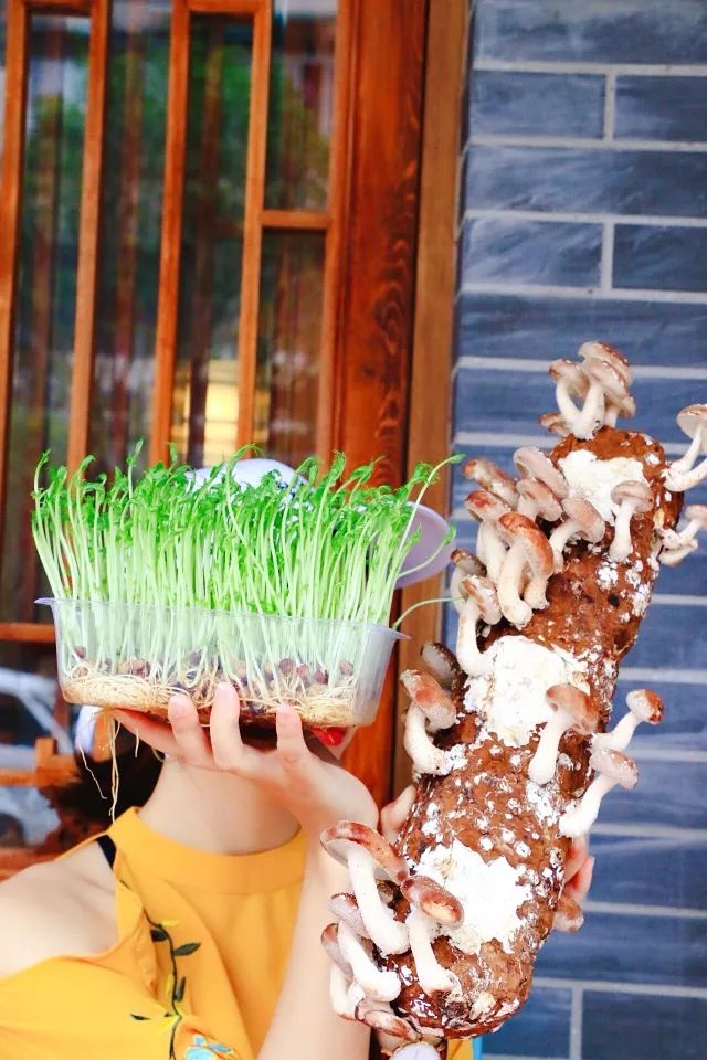 谭鸭血老火锅在四川的热度,惊艳中国的成都火锅谭鸭血老火锅